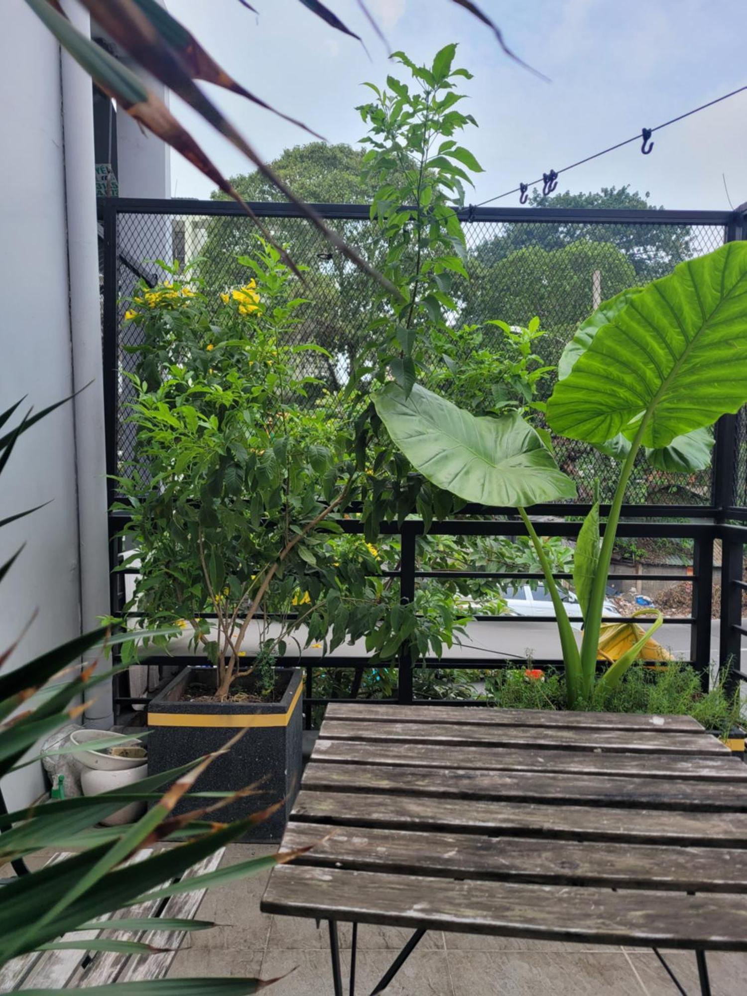 Agk House - Homestay - 406 Xo Viet Nghe Tinh, P25, Binh Thanh, Gan Nga 4 Hang Xanh Hô Chi Minh-Ville Extérieur photo